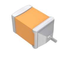 F951C335MPAAQ2 Image.