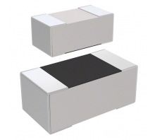 RC1005F2611CS Image.