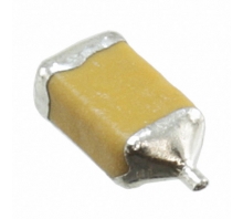 F951A107MAAAQ2 Image.